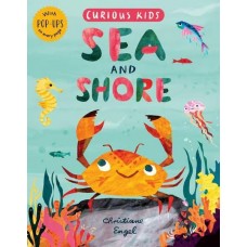 Curious Kids: Sea And Shore