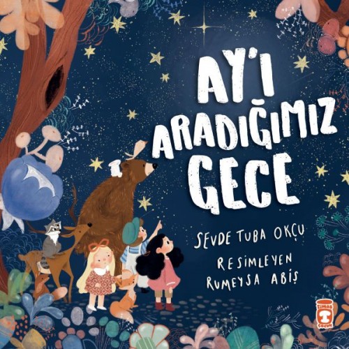 Ay’ı Aradığımız Gece