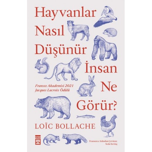 Hayvanlar Nasıl Düşünür İnsanlar Ne Görür?