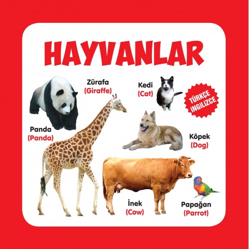 Hayvanlar Türkçe-İngilizce