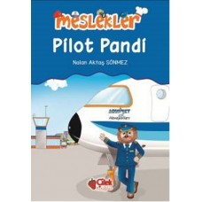 Pilot Pandi / Meslekler