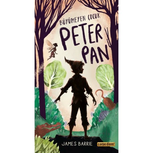 Büyümeyen Çocuk Peter Pan