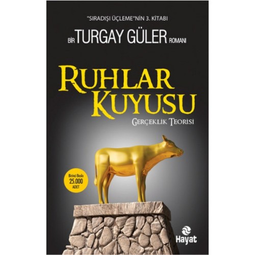 Ruhlar Kuyusu - Gerçeklik Teorisi