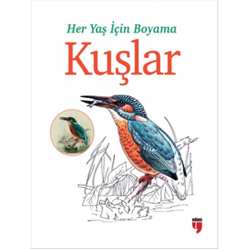 Her Yaş İçin Boyama - Kuşlar