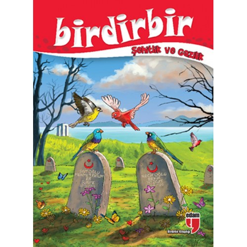 Birdirbir - Şehitlik ve Gazilik