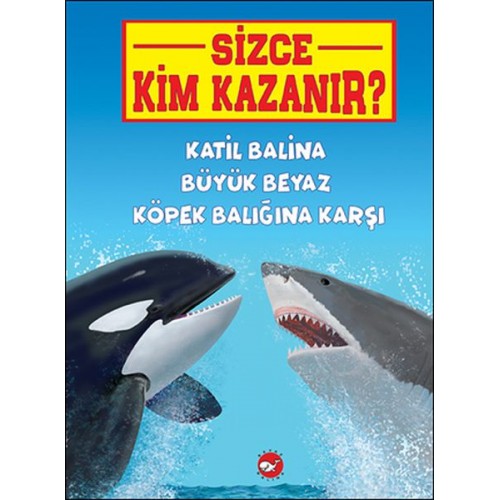 Sizce Kim Kazanır? Katil Balina Büyük Beyaz Köpek Balığına Karşı