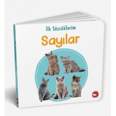 İlk Sözcüklerim - Sayılar