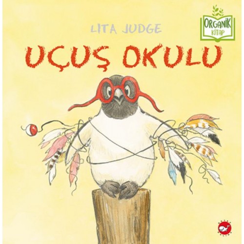 Uçuş Okulu - Organik Kitaplar