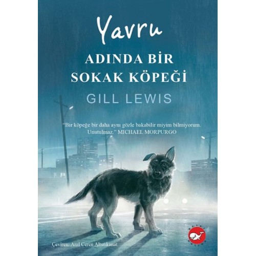 Yavru Adında Bir Sokak Köpeği