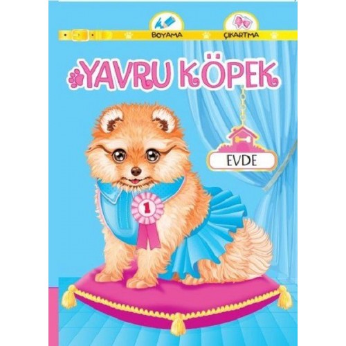 Yavru Köpek Evde