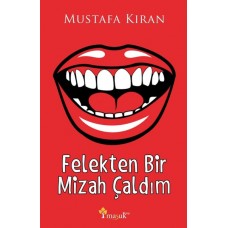 Felekten Bir Mizah Çaldım