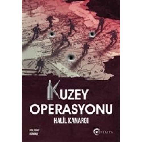 Kuzey Operasyonu