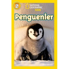 Penguenler