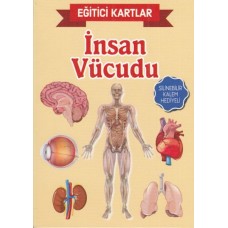 Eğitici Kartlar İnsan Vücudu