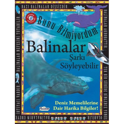 Balinalar Şarkı Söyleyebilir - Bunu Bilmiyordum - Deniz Memelilerine Dair Harika Bilgiler!