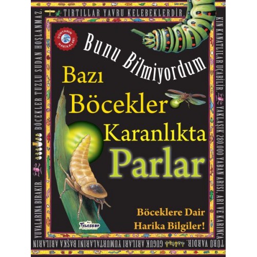 Bazı Böcekler Karanlıkta Parlar - Bunu Bilmiyordum - Böceklere Dair Harika Bilgiler!