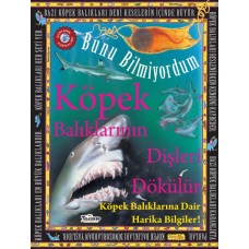 Köpek Balıklarının Dişleri Dökülür - Bunu Bilmiyordum - Köpek Balıklarına Dair Harika Bilgiler!