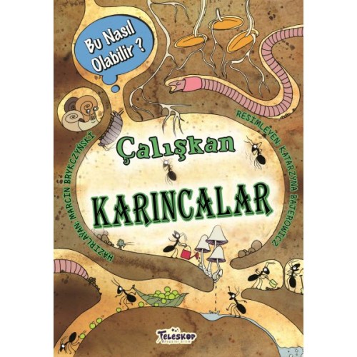 Çalışkan Karıncalar - Bu Nasıl Olabilir?