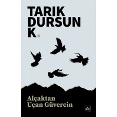 Alçaktan Uçan Güvercin