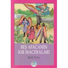 Beş Afacanın Kır Maceraları