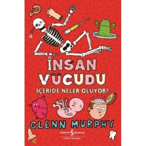 İnsan Vücudu - İçeride Neler Oluyor?