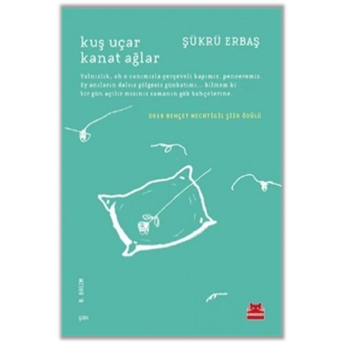 Kuş Uçar Kanat Ağlar