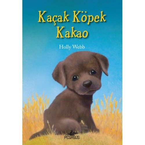 Kaçak Köpek Kakao