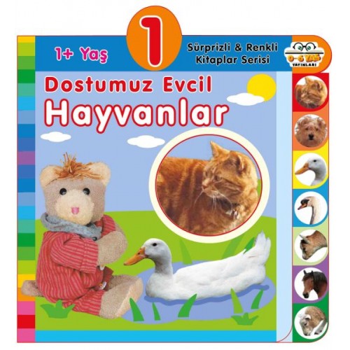 Dostumuz Evcil Hayvanlar (1+Yaş)