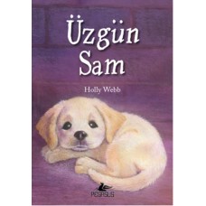 Üzgün Sam