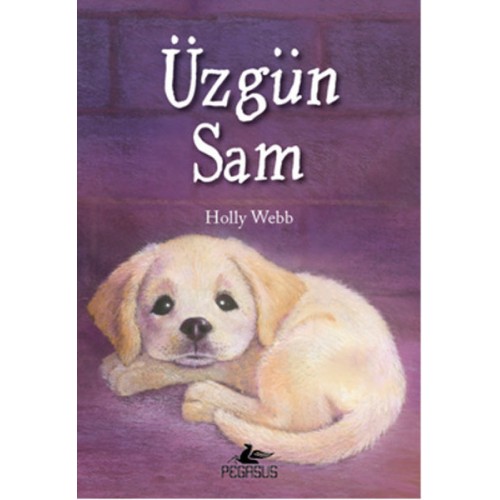 Üzgün Sam