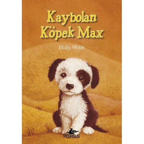 Kaybolan Köpek Max