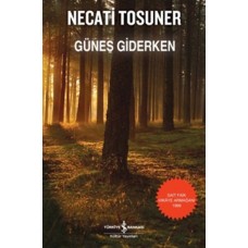 Güneş Giderken