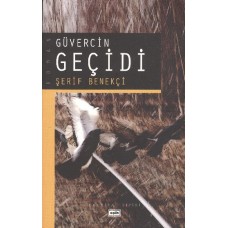 Güvercin Geçidi