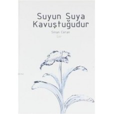 Suyun Suya Kavuştuğudur