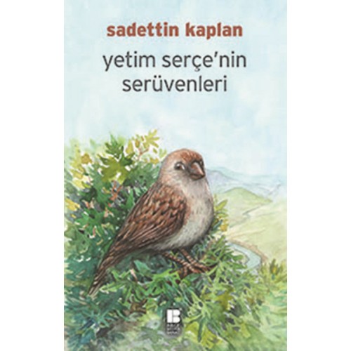 Yetim Serçe'nin Serüvenleri