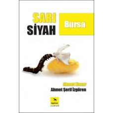 Sarı Siyah Bursa