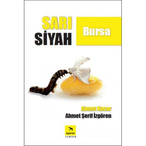 Sarı Siyah Bursa