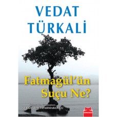 Fatmagül'ün Suçu Ne?