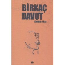 Birkaç Davut