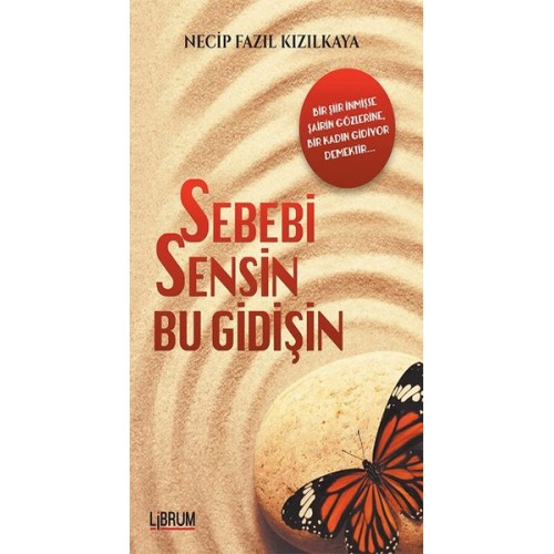 Sebebi Sensin Bu Gidişin