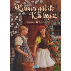 Kırmızı Gül ile Kar Beyaz