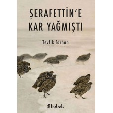 Şerafettin'e Kar Yağmıştı