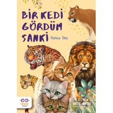 Bir Kedi Gördüm Sanki