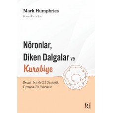 Nöronlar, Diken Dalgalar ve Kurabiye