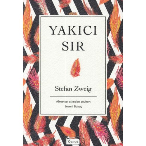 Yakıcı Sır - Ciltsiz