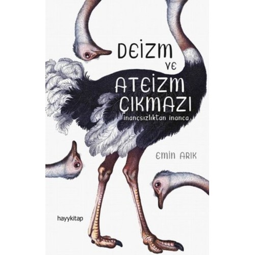 Deizm ve Ateizm Çıkmazı - Herkes İçin Tasavvuf  66