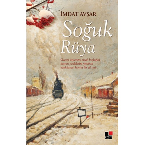 Soğuk Rüya