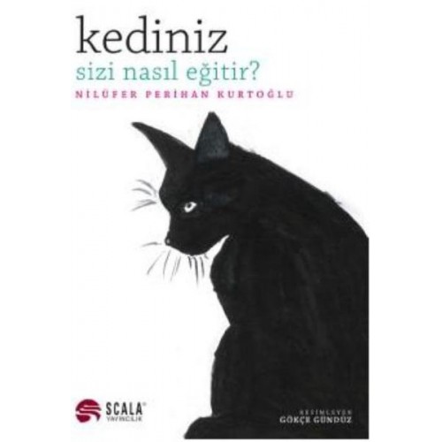 Kediniz Sizi Nasıl Eğitir