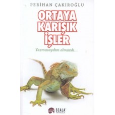 Ortaya Karışık İşler