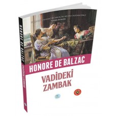 Özet Kitap - Vadideki Zambak